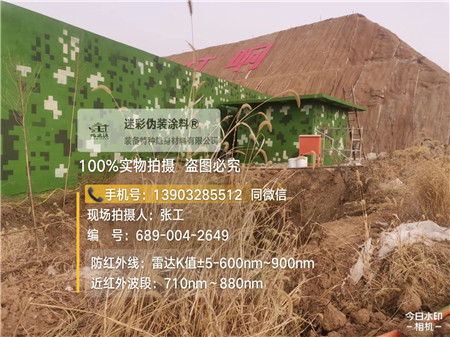 西宁星空迷彩墙施工队