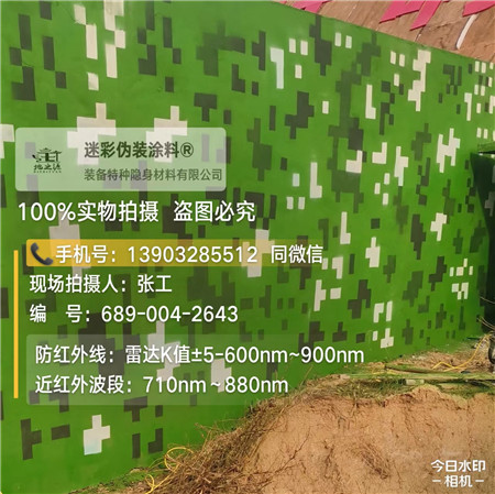 西宁星空迷彩漆，夏令营训练,数码迷彩作训墙,围墙